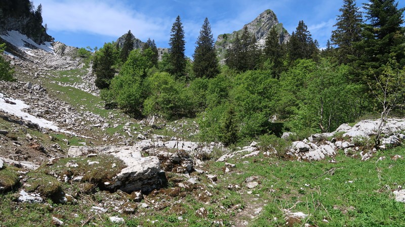 Cape au Moine des Verraux, randonnée d'été en dessus d'Allières dans le